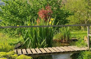 Tana della Lavanda - Photo 7