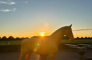 Gut Aspern Polohof - Foto 74