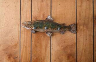 Rocky Mountain Inn - Foto 3