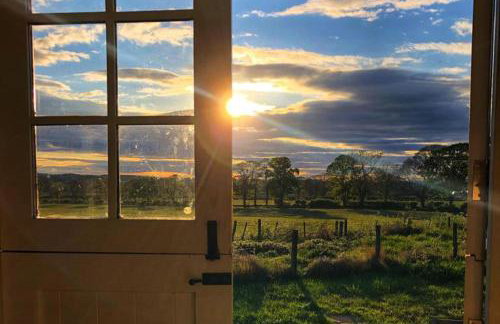 Cosy romantic shepherd hut in open countryside - Foto 4