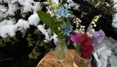 La scierie de la grande ourse - Foto 5