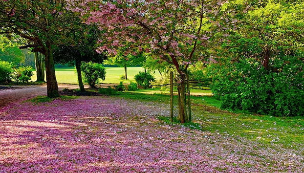 Vistas al campo desde el alojamiento