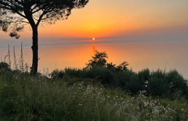 Casa Morello - Foto 65