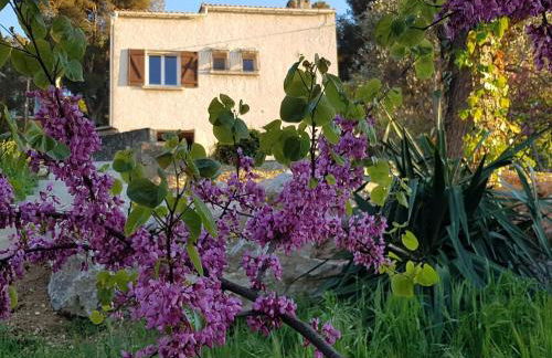 La Champanel Maison vue Mer - Foto 1