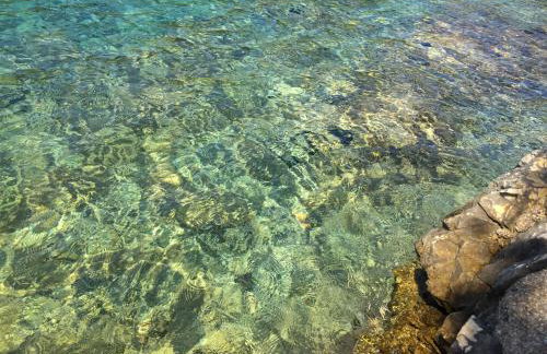 M Plus Residence - Photo 25