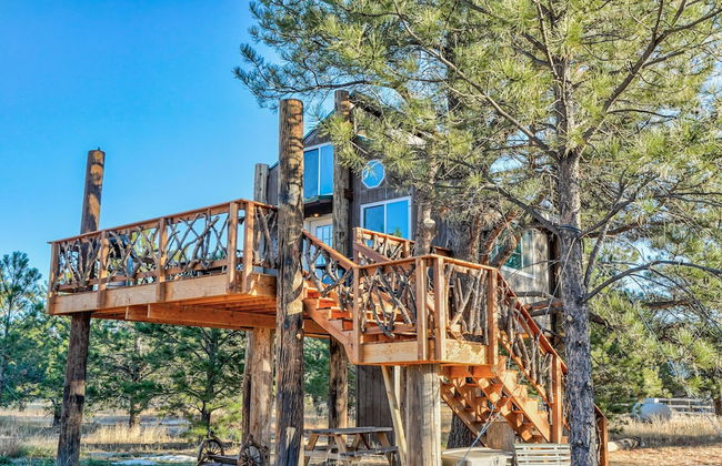 Tree Deer Blind - Foto 26