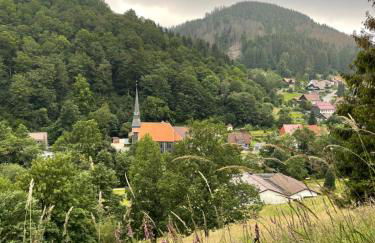 Gemütliches Apartment mit Kamin und Wohnküche - Foto 11