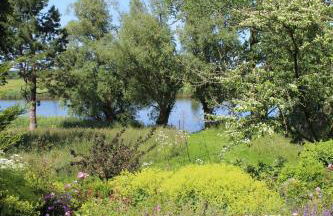 Reetdachhaus direkt am Wasser - Foto 22