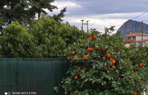 Nafplio BREEZE Άνετη διώροφη κατοικία από 4 έως 9 επισκέπτες - Photo 39