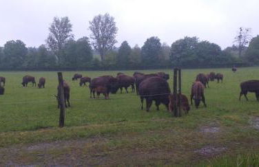 Highland Accommodation Bavaria - Foto 12