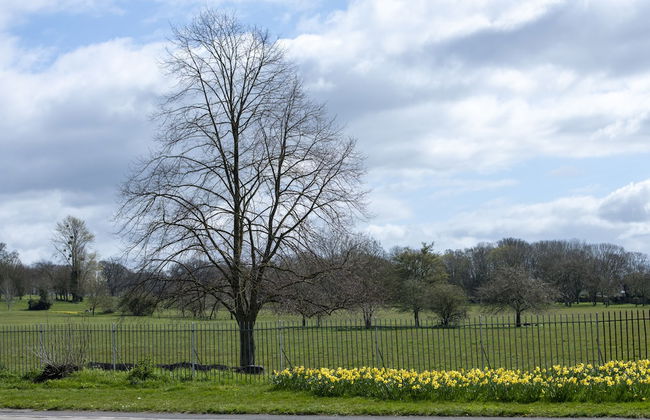A very British house to stay 3 Bedroom - Foto 48