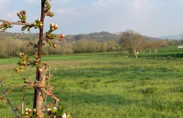 Casa Capoleto - Foto 40