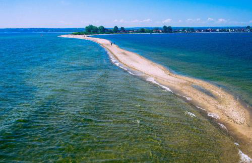 REWA CZTERY PORY ROKU - Foto 17