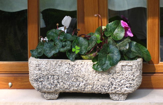 Apartamentos Rurales La Portiella - Foto 62