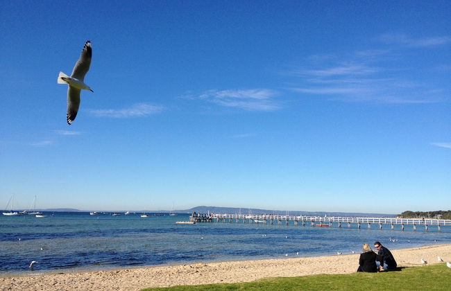 Beachwalk Cottage - Foto 20