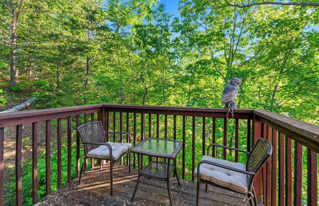 Rustic 3br Cabin Near Lake w/ Hot Tub! - Foto 46