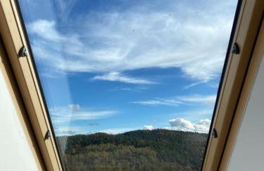 Wilcza Chata - Photo 54