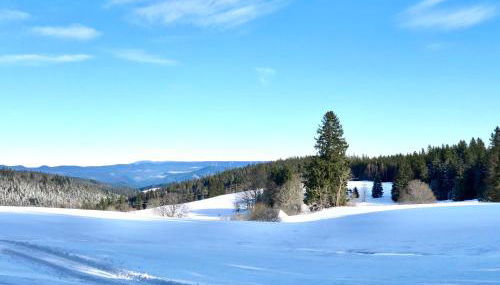 Ferienwohnung Brigach - Foto 5