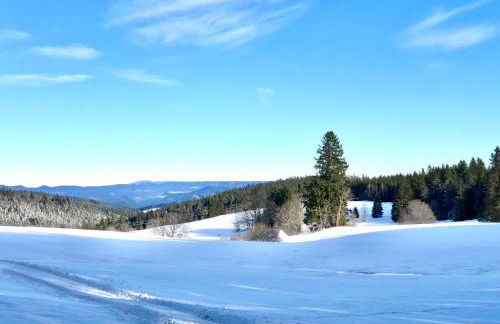 Ferienwohnung Brigach - Foto 5
