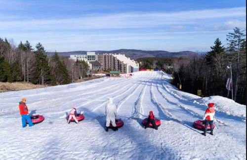 RF219 Hot tub,Heated garage and Parking - Foto 18