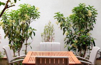 MONDELLO COTTAGE - Foto 11