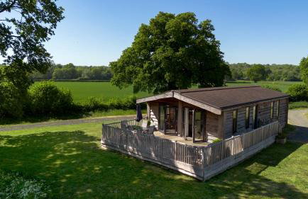 Curlew Lodge Yorkshire - Foto 5