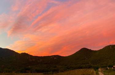 L'Uliveto HOLIDAY HOUSE - Photo 65