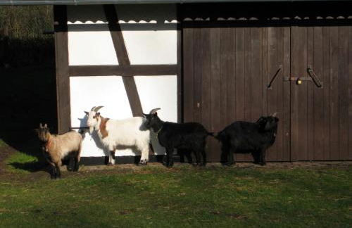 Ferienwohnung Hubner - Photo 22