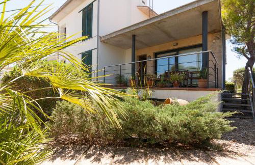 Baulo Pleta - Foto 22