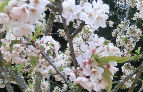 Apartamento en pleno Montseny Mas Romeu Turisme Rural - Foto 39