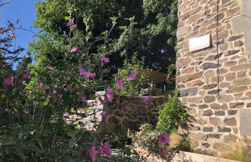 L'orée du Mézenc et son bain nordique privatif - Foto 34