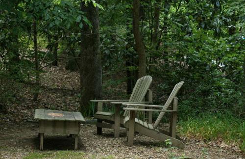 Secluded Forest Cabin Rental with Seasonal Pool near Natchez, Mississippi - Foto 13