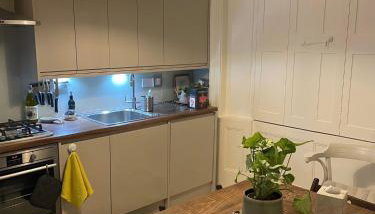 2 Bedroom Garden Flat /Kings Cross, Central London - Foto 2