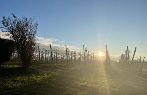 Ferienhaus Apfelblüte by Heinke Wohnraum - Foto 38