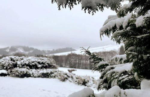 Haus am Wald Willingen - Photo 18