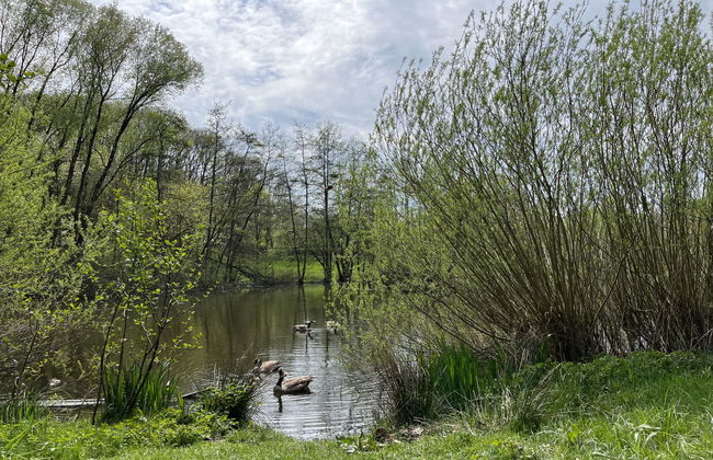 Am Sternberg 97 - Foto 28