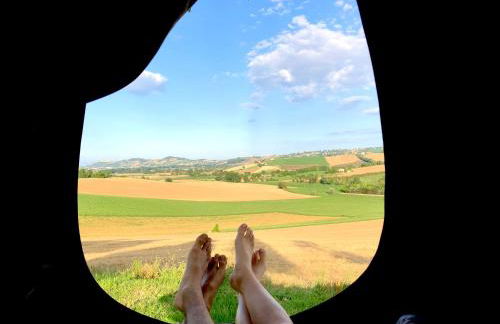 Ritorno alla Natura - Foto 34