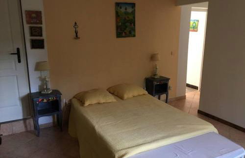 FLC - Large Charming House - Swimming Pool - Foto 45