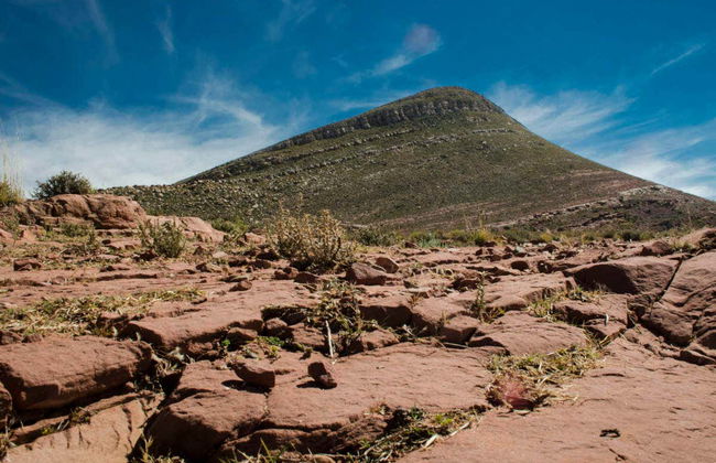 Yavi and Quiaca Trip - Photo 6