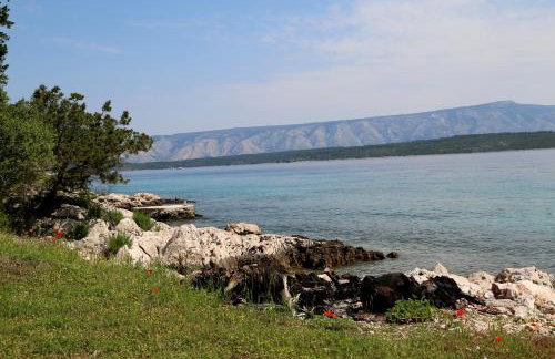 Eco Residence Rokotovi - Foto 7