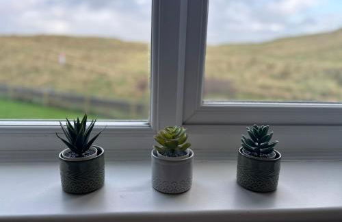 Dunes View - Atlantic Bay - Foto 40