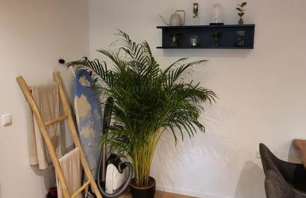 Modern Loft near City I free Parking I WiFi - Foto 14