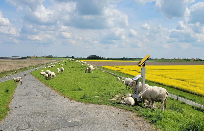 Ferienwohnung Tiefblick, Dornumersiel - Foto 35