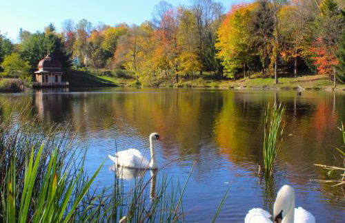 Aniyor Apartment Loft - Foto 11