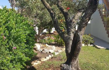 Casa Hélia, beautiful villa with pool, Algarve - Foto 35