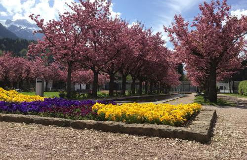 Ferienwohnung Lederhose - Foto 9