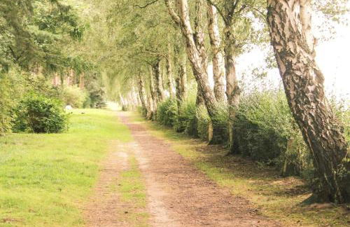 Ostseewellen II Haushälfte - Foto 19