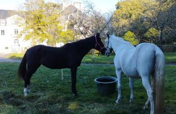 Domaine du Château de Lailly en Val - Photo 17