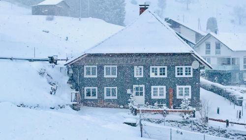 Schwarzwaldhaus Todtnau - Foto 4