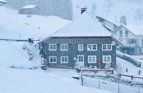 Schwarzwaldhaus Todtnau - Foto 4